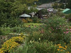 �~�[�i����̃K�[�f���~���[�W�A����b�ւ̓��e�ʐ^1