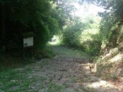 kijimunar̓R̐Ώ̓eʐ^1