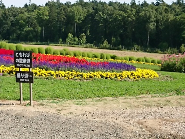 UHBG߂ǂ΂Ƃ炢Ă̂_ӂ̃WiLjϔ_