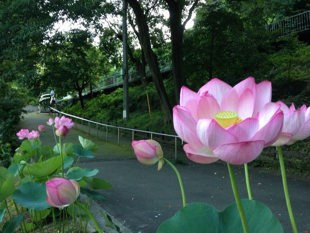 _ctrlGʂ̓mڂ񉀁icڂ񉀁j