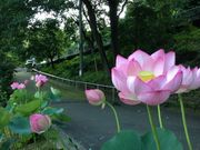 mama̒ctrlGʂ̓mڂ񉀁icڂ񉀁j̓eʐ^1