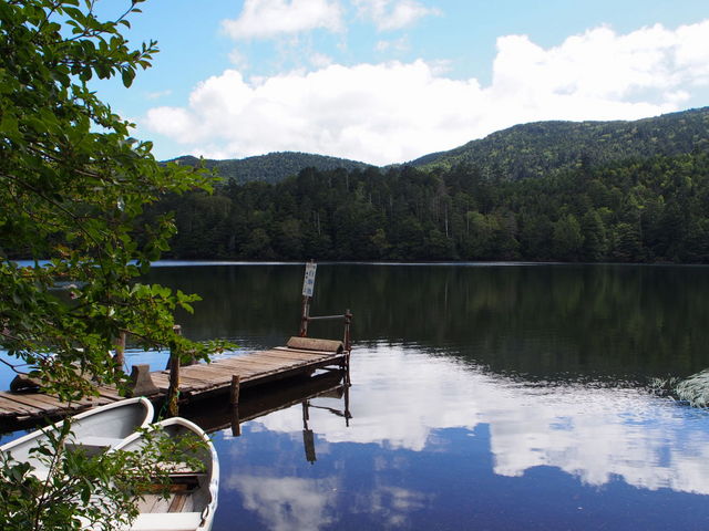 �Â��ȌΖʂɉf�����L���C_����̒r�i����j