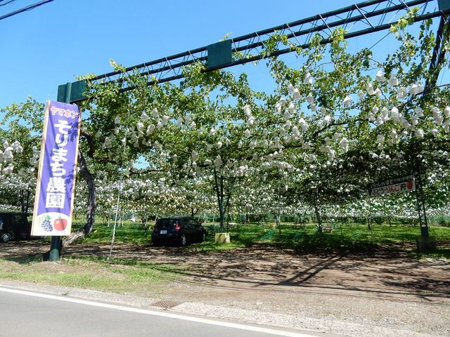 w-masa����̖k�M�Z�������̊X���̓��e�ʐ^1