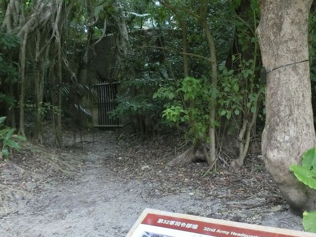 �����ӂ�����̑�32�R�i�ߕ����̓��e�ʐ^1