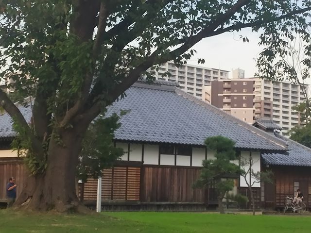 筑波研究学園都市と東京一極集中問題の今昔