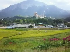 ܂܂邳̉̎Icւ̓eʐ^1