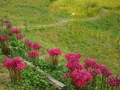 ܂܂邳̉̎Icւ̓eʐ^2