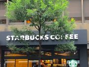 䂳̃X^[obNXER[q[ Vh_CArX̓eʐ^1