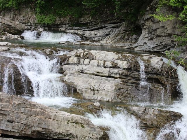 �����ȗ���_�O�i��