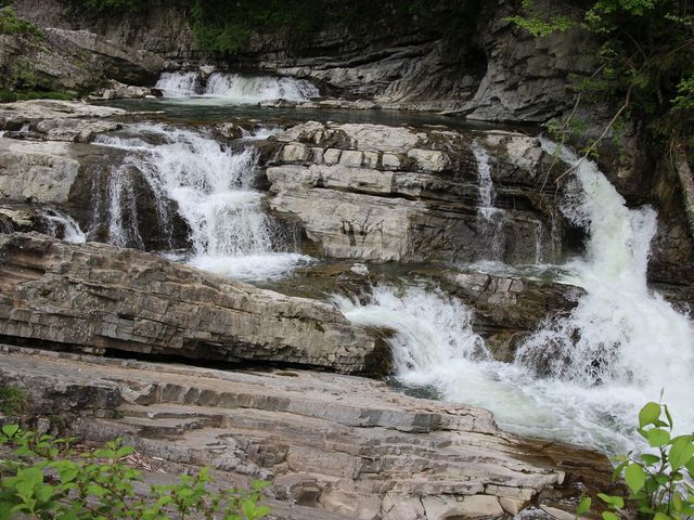 ���ꂪ������Ƒ�ς��ȁH_�O�i��