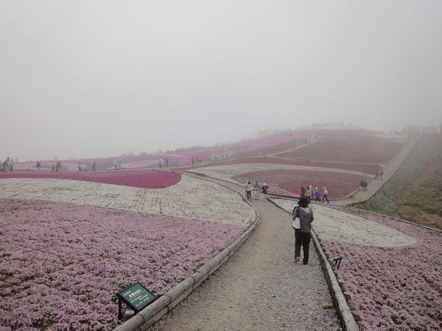 ���z�I�ȕ��͋C_���P�R�E�����Y�R