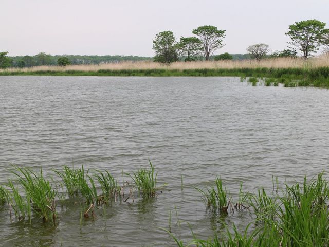 �o���̎p��������_�{����