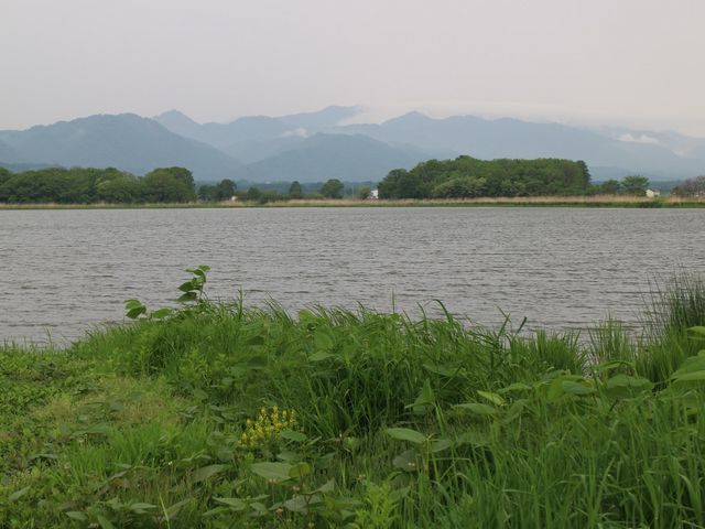 �z�I�W���A�q�o���A�J�b�R�E�̖�������������_�{����