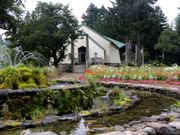 Ƃ񂳂̓{XL[ق̓eʐ^5