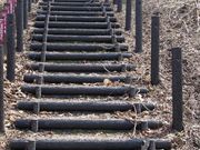 񂳂̓{̃YRKi̓eʐ^1