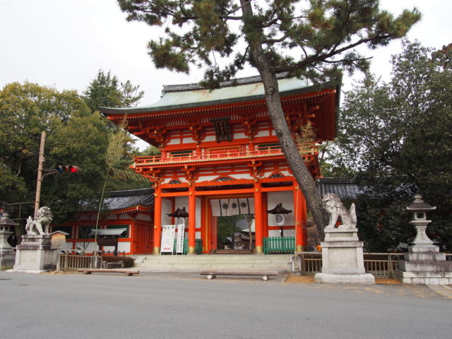 ���{�_��_�������