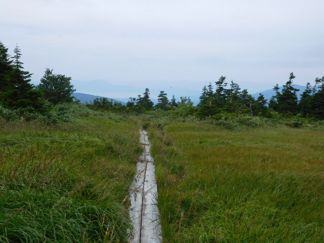 �c�㕽�ł��B���n�тł��B_�G�X�q�x�i��茧���Β��j