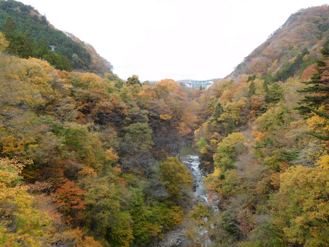 �g�t�̎����ɍs���Ƃ���Ȃɂ��ꂢ�ɂȂ�܂��B���Ɍ�����̂���q�_���ł��B_��q�_��