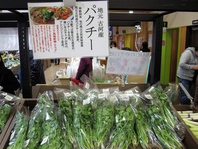 2017N17Bejủw ܂炪̗v_̉w ܂炪̗