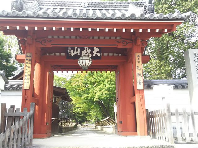 ����_���P��