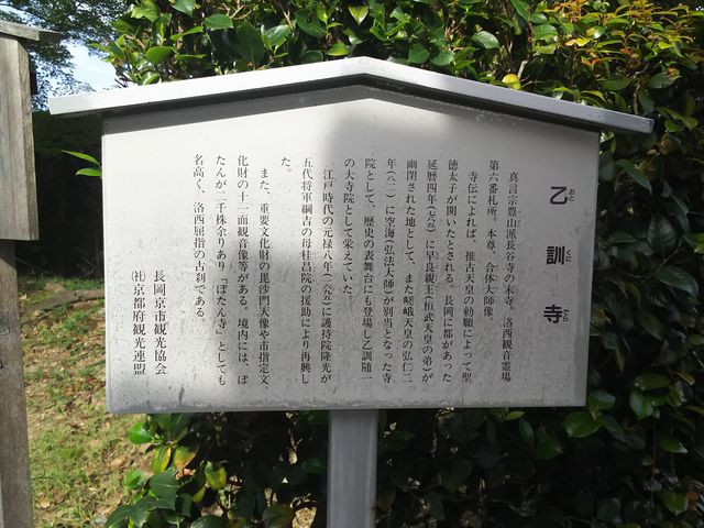 ����_���P��