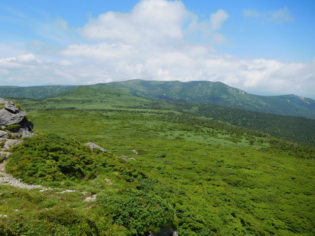 �R�������[�x�A�����K�x���ʂł��B��ʂɗ΂̂��イ���񂪍L����܂��B_�O�c�ΎR