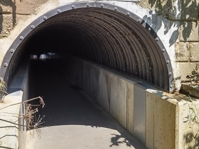 �C�ݓ�����g���l��_�����ӊC��