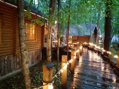 ṼVbsO[hujOeXvւ̓eʐ^1