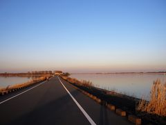 よっちんさんの谷中湖（埼玉県加須市）への投稿写真1