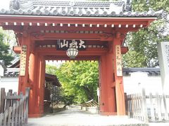 �^�P�`��������̉��P���ւ̓��e�ʐ^1