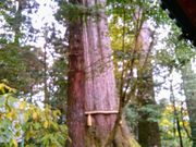 HappỹqV̏т̓eʐ^1