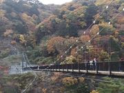 񂳂̋S{|݋̓eʐ^1