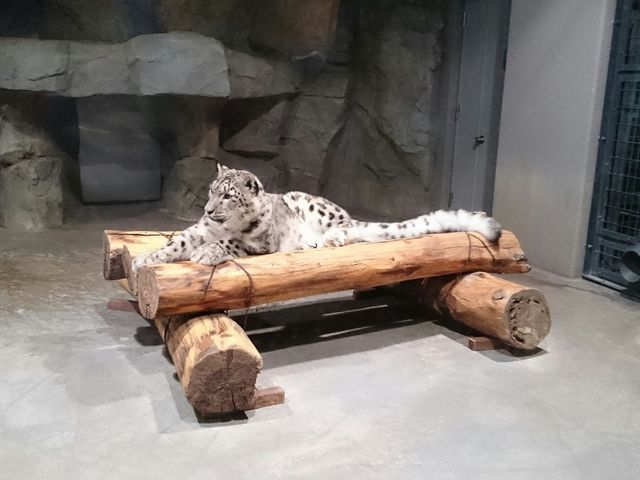 �ƂĂ����l�ȃq���E_�~�R������