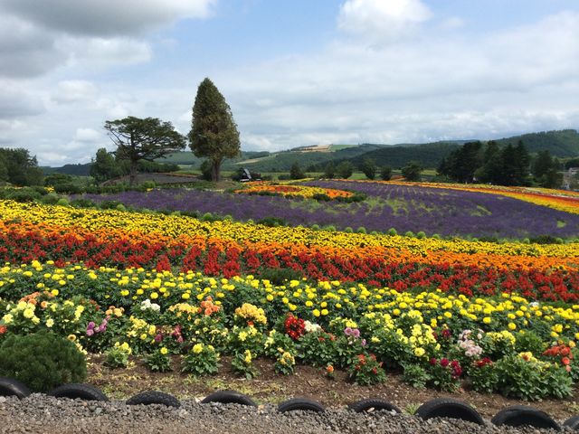 ���l_�l�G�ʂ̋u