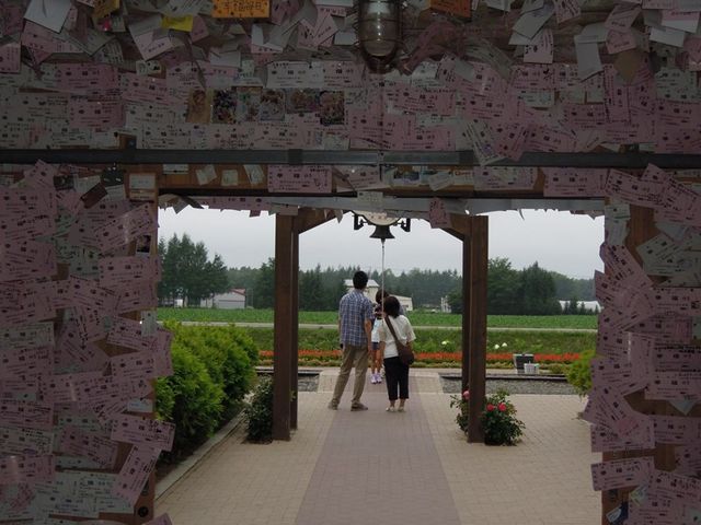 �w�ɓ����ɂ̓J�b�v���̋F�肪_�K���w�i�K���S�������j