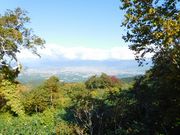 {܂̐_Rx{ѓW]̓eʐ^2