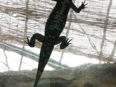 u[N{[̔Moiijւ̓eʐ^1