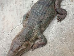 u[N{[̔Moiijւ̓eʐ^2