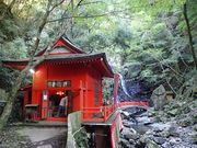 �l�h�m�`�l�h����̌��R����ꎛ�̓��e�ʐ^1