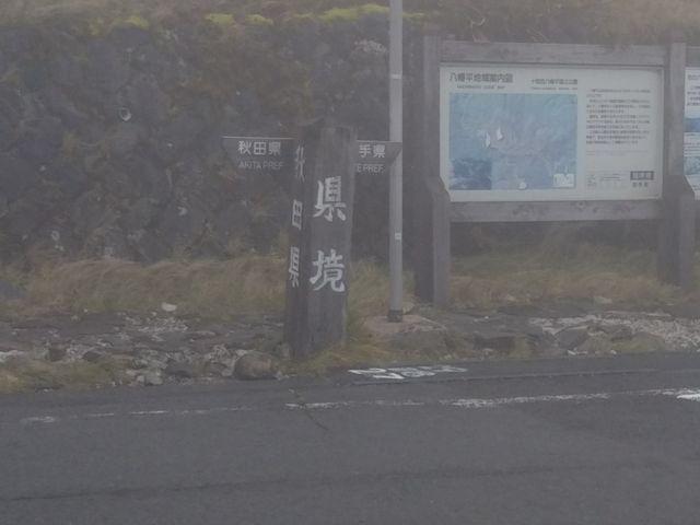 ���������㒓�ԏ�̌����W�B_������