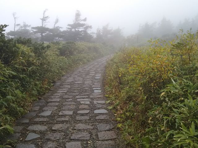 �R���ߕӂ̓o�R���B_������