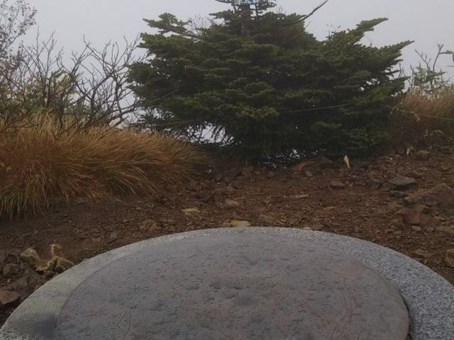 �����X�B_������