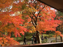 りんさんの成田山公園の投稿写真1
