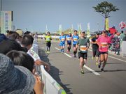 t.o̊ClΒniWjp[Nj̓eʐ^1