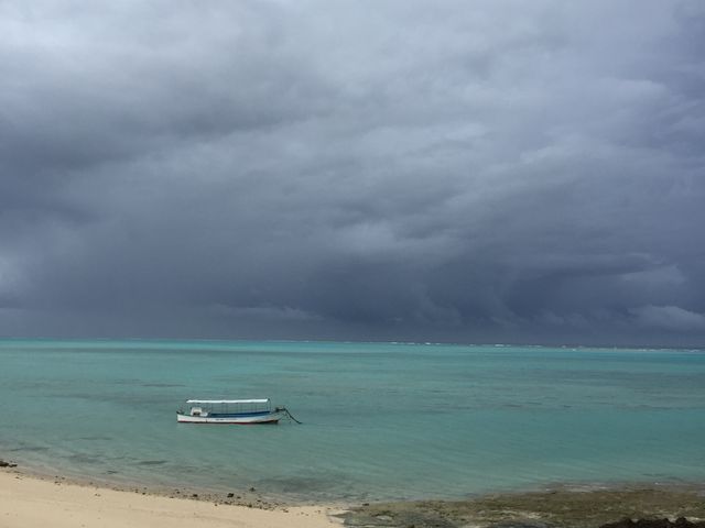 Eddie����̃������_�C�r���O�T�[�r�X�̓��e�ʐ^1