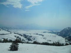 {܂̗RAy[gyxRzւ̓eʐ^1