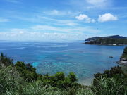 �ЂłƂ���̓V��W�]��̓��e�ʐ^1