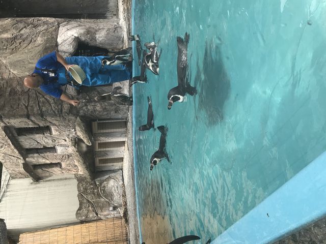 �y���M��_�������Ȋ�