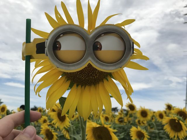 �Ђ܂��_�ό��_���ԂЂ��