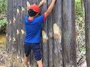 dreams100̍b̗Ep̓eʐ^1